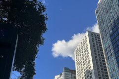 谷歌支付登陸沙特，支付寶于2026年接入，企業(yè)出海中東市場開辟新的合作機遇