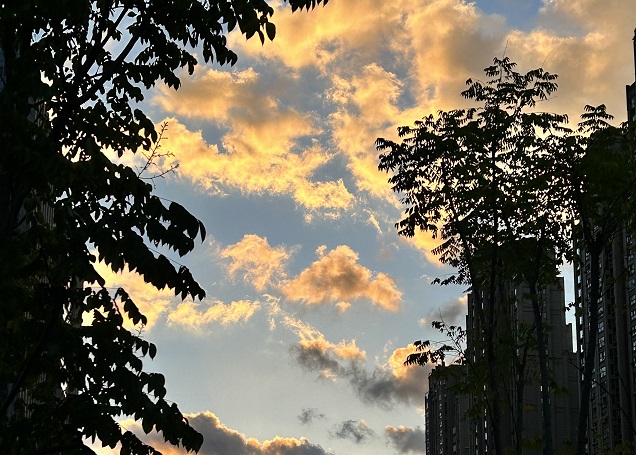 老撾公司注冊(cè)地址要求解析:虛擬地址的合規(guī)性說明