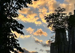 【深度解讀】2025年泰國用工風向：合規(guī)+成本雙維度，避免“無知吃虧”的5大雷