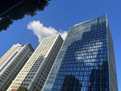 毛里求斯公司董事配置基本要求解析